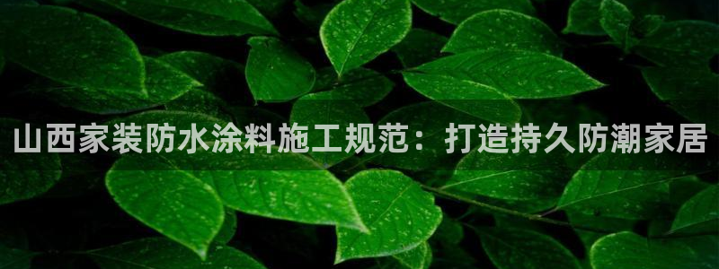 和记国际电讯市值：山西家装防水涂料施工规范：打造持久防潮家居