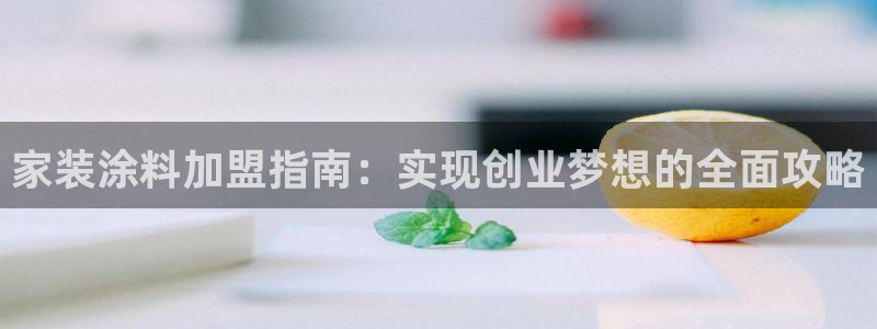 下载和记app：家装涂料加盟指南：实现创业梦想的全面攻略